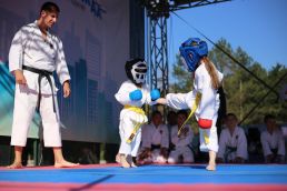 karate1.jpg