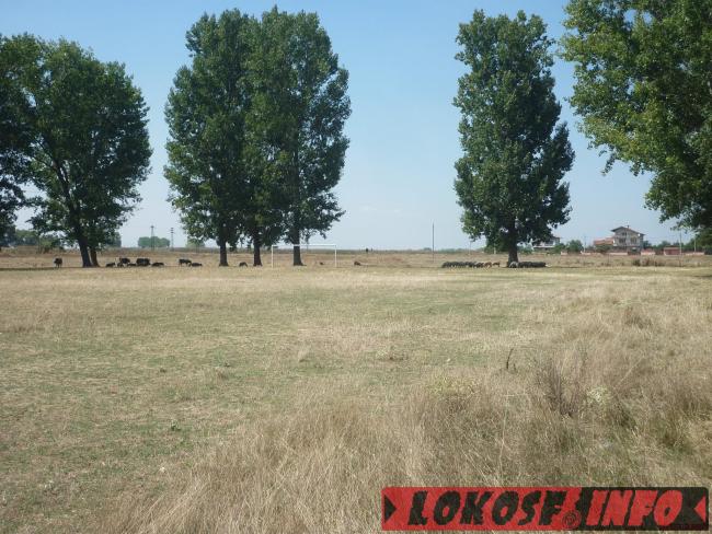 игрище с. Чепинци