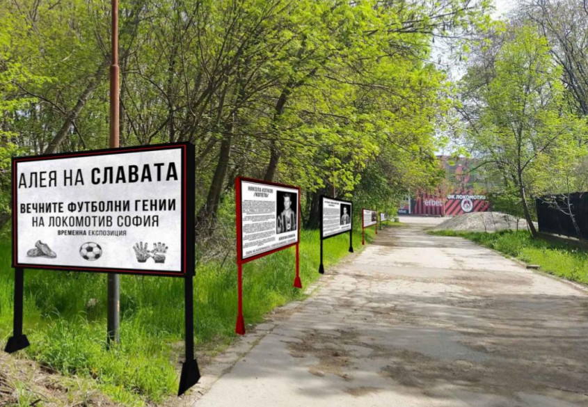 aleia na slavata proekt