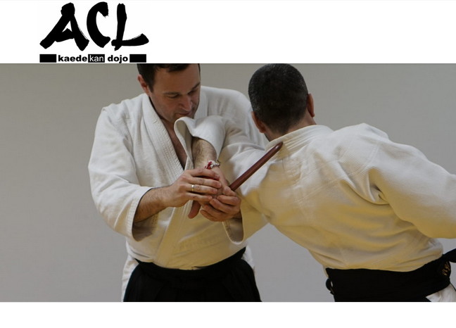aikido kurs 2017