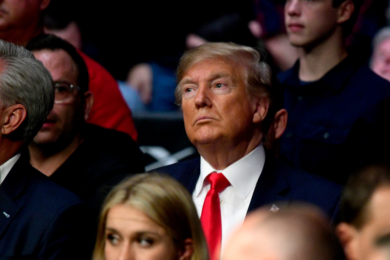 blagoj georgiev lewis donald trump UFC 224 r