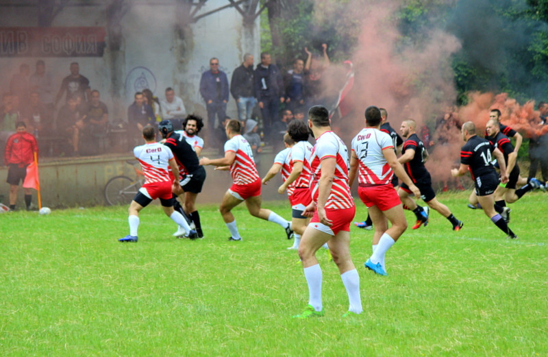 loko tsarvena zvezda 2017 fans